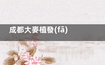 成都大麥植發(fā)醫(yī)院地址在哪里？坐地鐵幾號(hào)線？錦江/金牛/高新三院區(qū)位置+營業(yè)時(shí)間+技術(shù)優(yōu)勢合集！